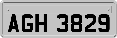 AGH3829