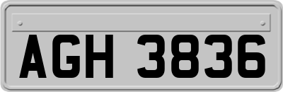 AGH3836