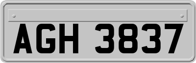 AGH3837