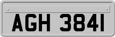 AGH3841