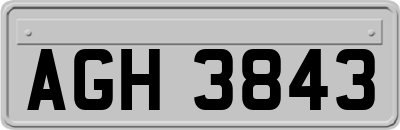 AGH3843