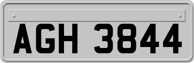 AGH3844