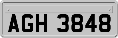 AGH3848