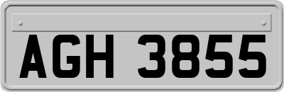 AGH3855