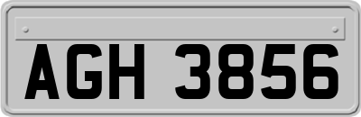 AGH3856