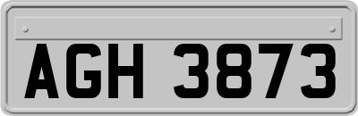 AGH3873