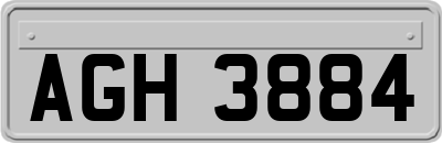 AGH3884