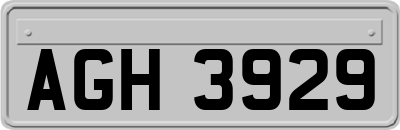AGH3929