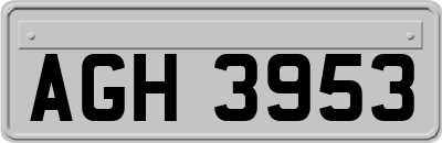 AGH3953