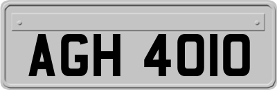 AGH4010