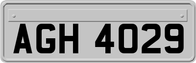 AGH4029
