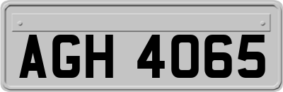AGH4065