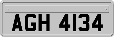 AGH4134