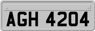 AGH4204