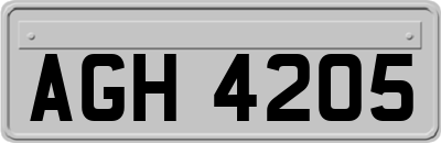 AGH4205