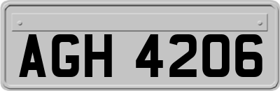 AGH4206