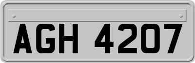 AGH4207