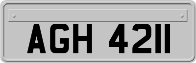 AGH4211