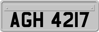 AGH4217
