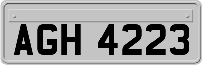 AGH4223