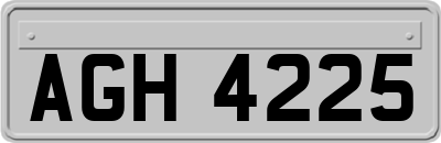 AGH4225