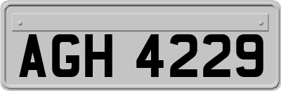 AGH4229