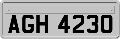 AGH4230