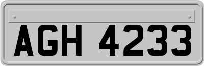 AGH4233