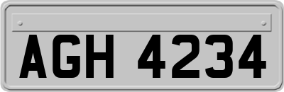 AGH4234