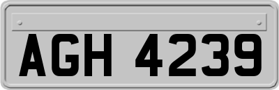 AGH4239