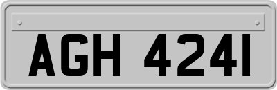 AGH4241