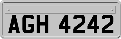 AGH4242
