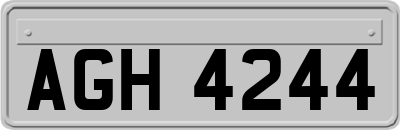 AGH4244