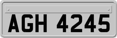 AGH4245