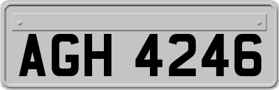 AGH4246