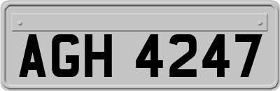 AGH4247