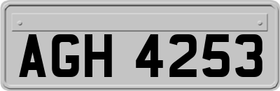 AGH4253