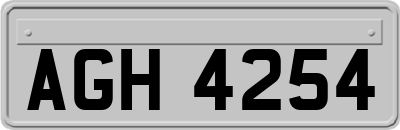 AGH4254