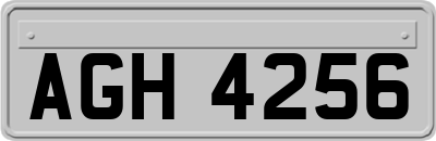 AGH4256