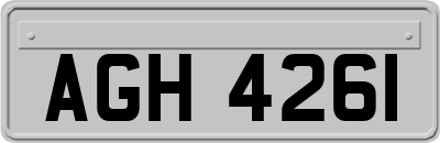 AGH4261