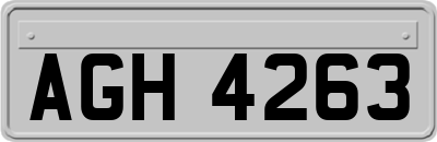 AGH4263