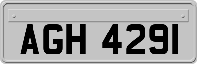AGH4291