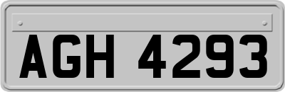 AGH4293
