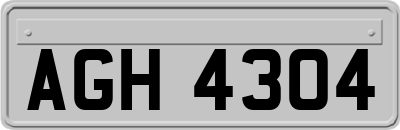 AGH4304