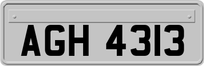 AGH4313