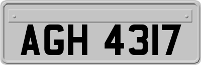 AGH4317