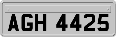 AGH4425