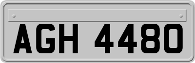 AGH4480