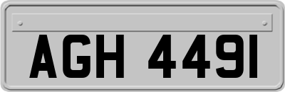 AGH4491