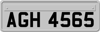 AGH4565